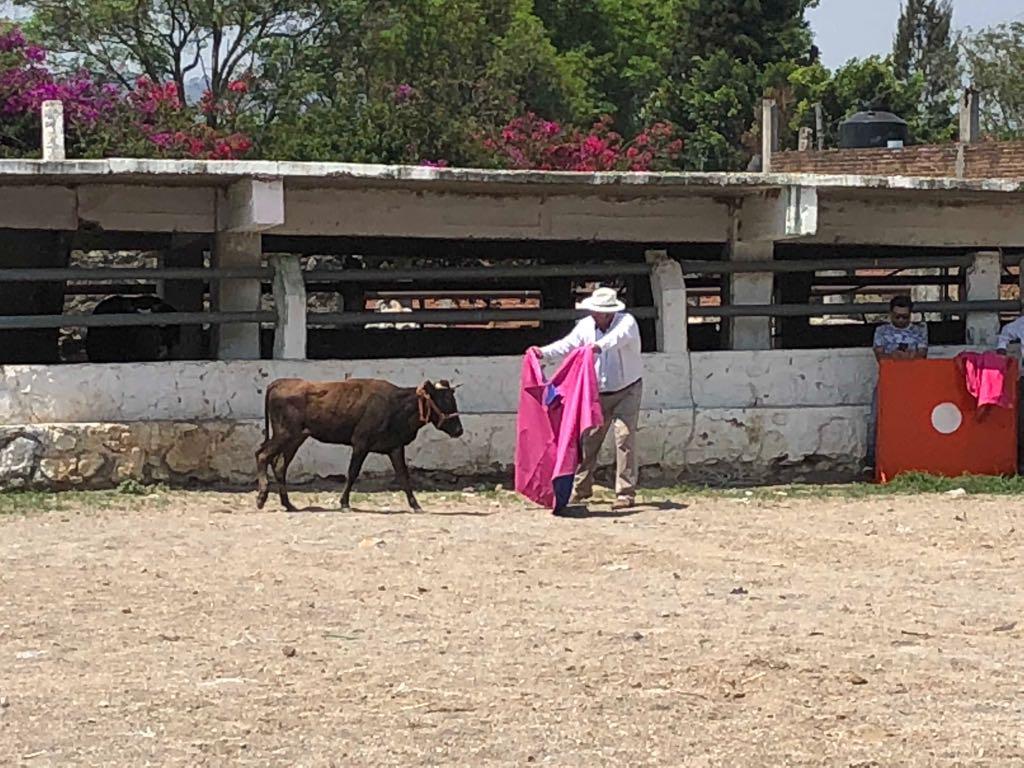 Tauromaquia Ricardo Ortiz